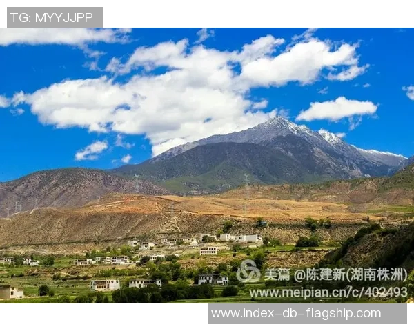 秘鲁足球队崛起之路探索与挑战的精彩旅程